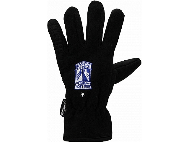 Lech Poznan gants
