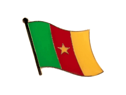 Cameroun badge