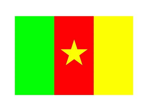 Cameroun drapeau